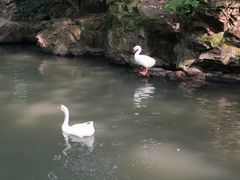 -兰亭风景区