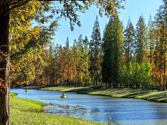 -黄海国家森林公园