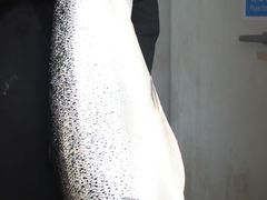 -细村农贸综合市场