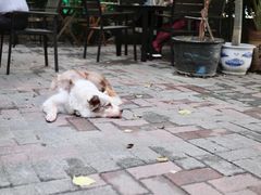 -豆舞咖啡(民乐路店)