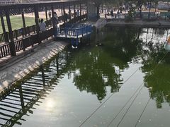 -北京鹿世界主题园