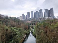 -重庆彩云湖湿地公园