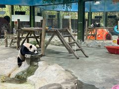 -栾川竹海野生动物园