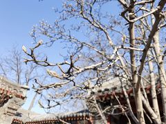 -齐白石旧居纪念馆