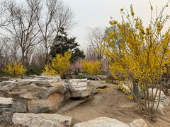 -大兴滨河森林公园