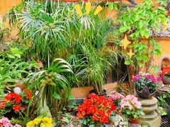 -园林美食城·本土农家菜(杨和镇店)