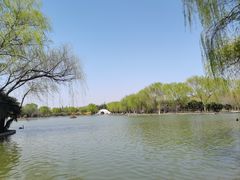 -洛阳市隋唐城遗址植物园