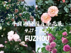 -牛岗山公园