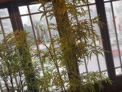 -洞庭土菜馆(天河北总店)