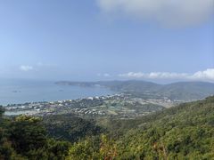 -三亚亚龙湾人间天堂鸟巢度假村