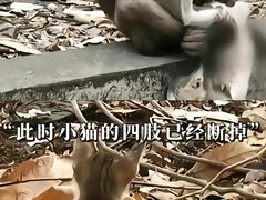 -昆明动物园