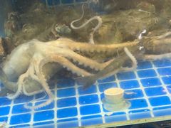 -老班长大酒店(海关大楼店)