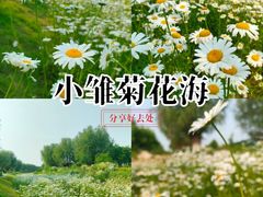 -汉长安城未央宫国家考古遗址公园