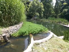 -成都市活水公园