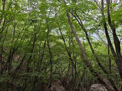 -北京密云天门山风景区