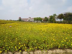 -歌斐颂巧克力小镇