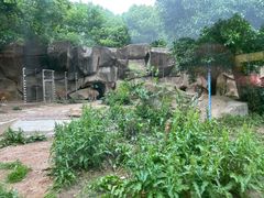 -荆州中山公园动物园