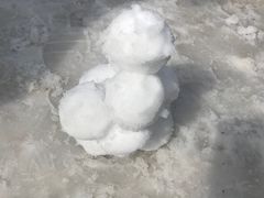 -武陵山森林公园