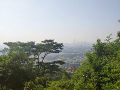 景点-火炉山森林公园