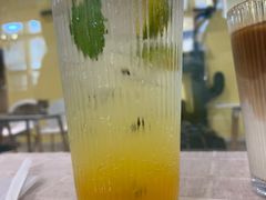 -吉丁鸟咖·异宠·寄养