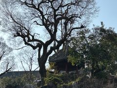 -豫园