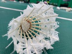 -四川省体育馆羽毛球馆