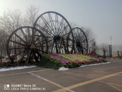 -呀路古热带植物园