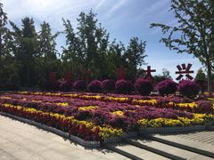 -大兴滨河森林公园