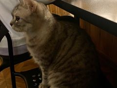 -隅cafe(傅厚岗店)
