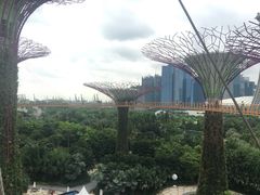 -老伴豆花(麦士威熟食中心店)