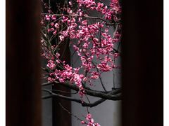 -郭庄景区