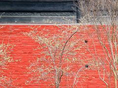 -报恩寺(平武县)