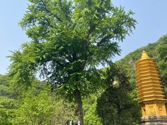 -天津盘山风景名胜区