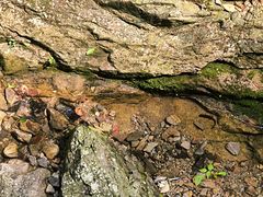 -雁荡山三折瀑景区