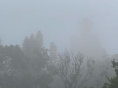 -宝莲禅寺