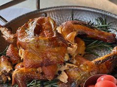 -一棵树·意大利西餐厅One Tree(新城店)