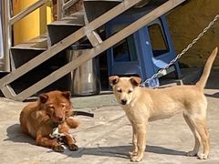 -八景休閒山莊  廣東十大名山莊
