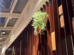 -一轩饺子馆(丽都店)
