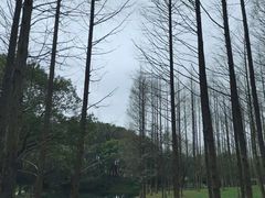 -新洲生态园