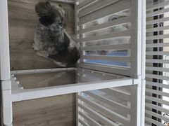 -萌小它宠物健康管理中心(怡海家园店)