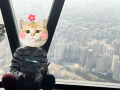 -赏点粤式点心(广州塔店)