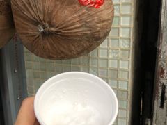 -洪馨椰子