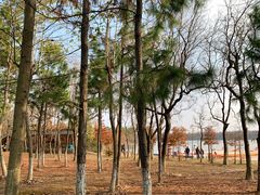 -上海海湾国家森林公园