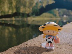 -上海共青森林公园