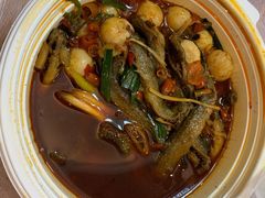 独火泥鳅-弓虽昌焖烧鸡(大竹林店)