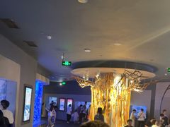 -成都浩海立方海洋公园