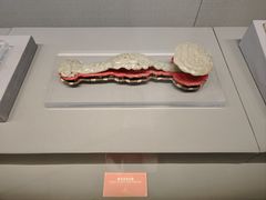 -青岛市博物馆