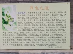-白云观