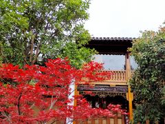 -武汉园博园(武汉自然博物馆)