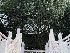 -国家图书馆·古籍馆